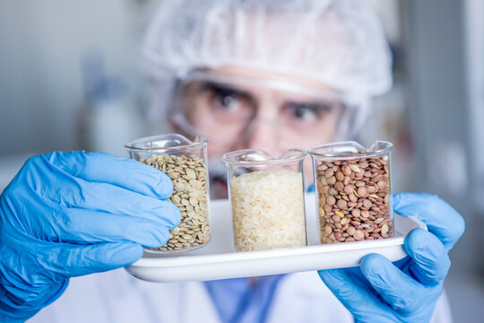 Scientist in lab examining food samples