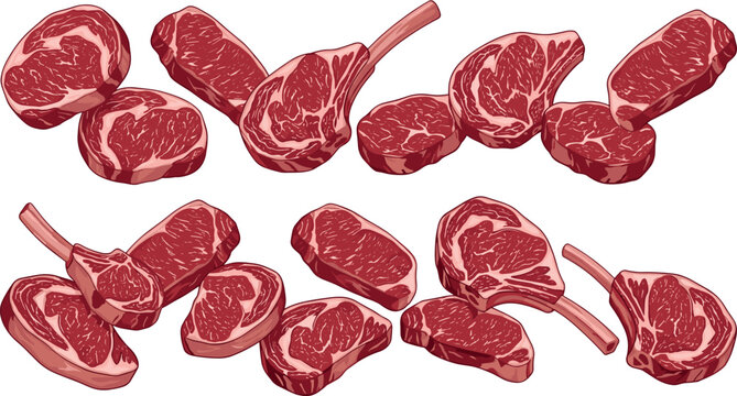 Raw Beef Steak and Meat Cuts Vector Set with Ribeye, Tomahawk, and T-Bone for Butchery, Barbecue, Restaurant Menus, and Cooking Designs