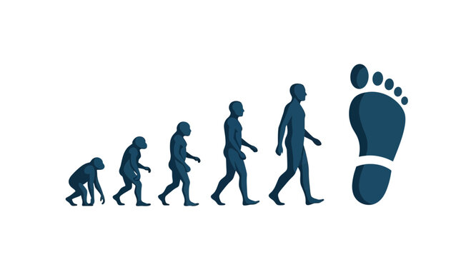 Human Evolution to Large Footprint