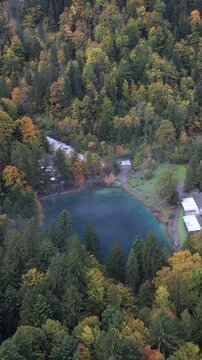 Vertical Aerial View of Blausee Lake Switzerland