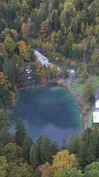 Vertical Aerial View of Blausee Lake Switzerland