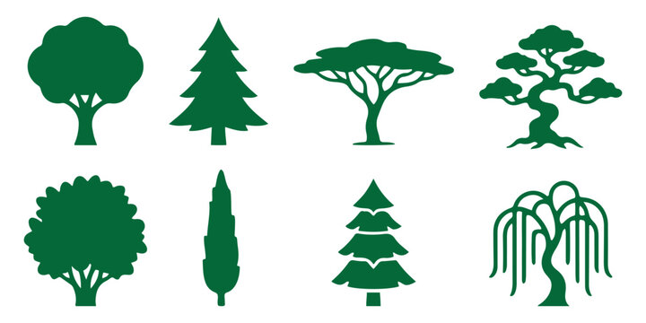 tree icon set, outline and solid style, vector illustration. Silhouette deciduous trees set isolated on checkered background vector illustration. green trees bushes grass for outdoor park and forest