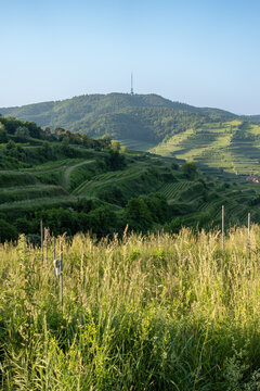 Lush Terraced Valley Landscape
