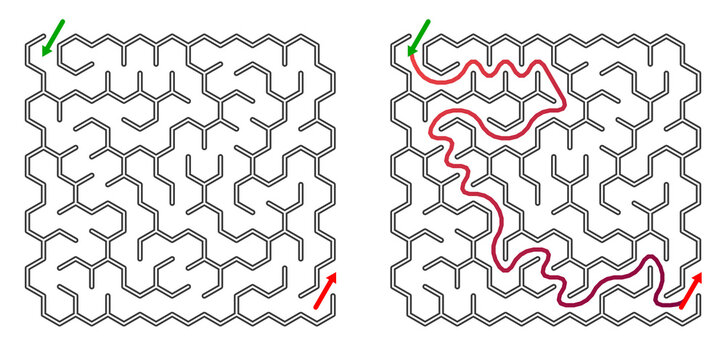 Abstract maze design with pathways and starting points  