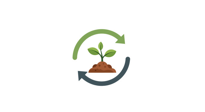 Small green plant growing in soil.