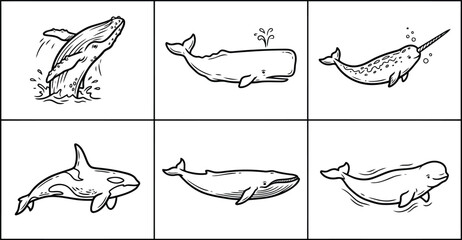 Set of six different whale and dolphin illustrations in black and white © Moriom