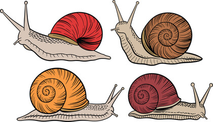 Hand drawn snail collection set with different colorful shells, isolated vector sketch illustration on white background © Sanjina