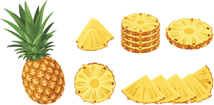 Fresh pineapple fruit slices collection vector illustration, whole ananas rings and chunks isolated design elements