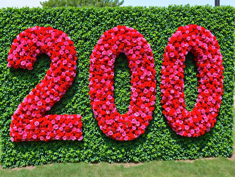 number 200 made from flowers