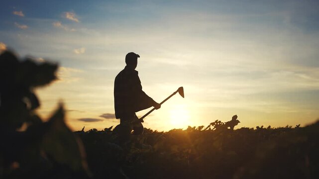 A man stands silhouetted in a field, holding a hoe as the sun sets in the background. The scene captures the man farming during twilight, surrounded by crops.