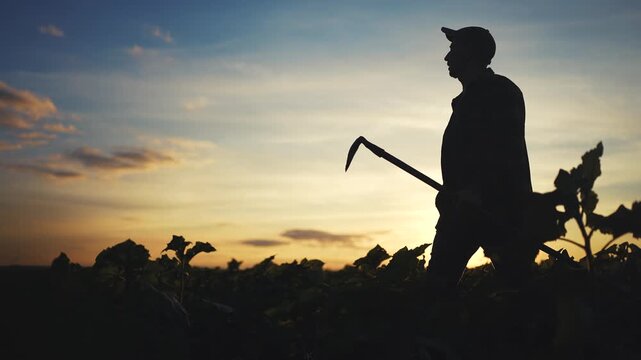 A man stands in a field at sunset, silhouetted by the fading light. The man holds a tool as he surveys the field, surrounded by greenery in the dusk.