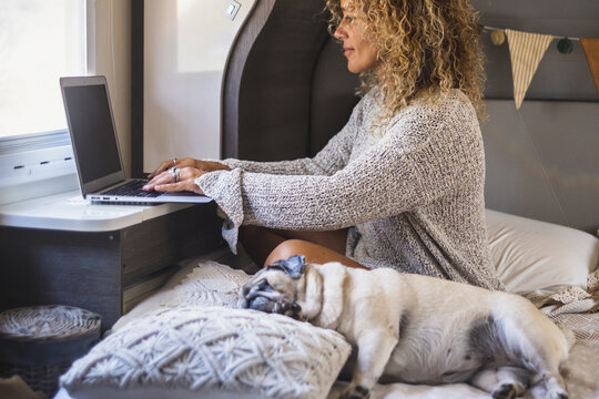 Woman working on a laptop in a cozy bed with her sleeping pug, typing by the window while enjoying a relaxed remote work morning in a softly decorated camper bedroom