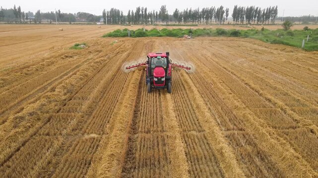 Red tractor raking straw in harvested farm field