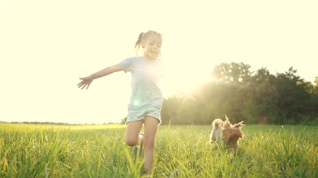 A young girl running with a dog. Girl, runs, dog, park child, summer, dog. A child lifestyle runs with a dog in summer.