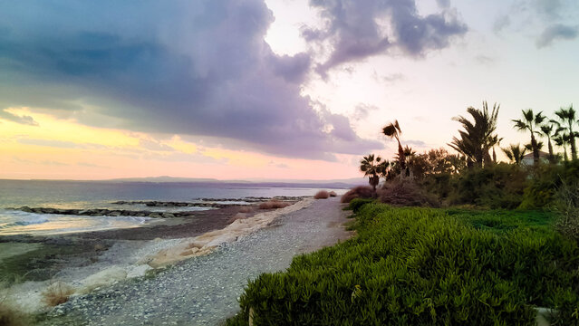 Sunset over Mediterranean Sea. Palm trees on Cyprus island coast.