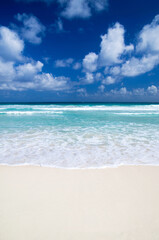 Fototapeta premium Beach and tropical sea. summer landscape. Caribbean Beach. Paradise. Vacation and Tourism concept.
