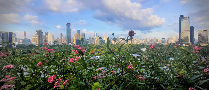 Modern city of Bangkok