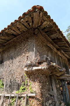 Traditional agricultural building called Horreo in Asturias, Spain