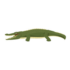 Fototapeta premium Green cartoon crocodile with open mouth vector illustration