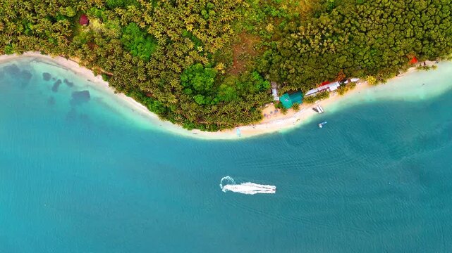 Top View Speedboat Along Palm Tree Coastline Beach Resort. A top-down drone shot shows a speedboat speeding along a white-sand beach beside coconut palms.