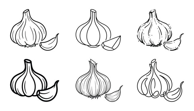Garlic Bulb Black and White Outline Vegetable Hand Drawn Vector Illustration Collection