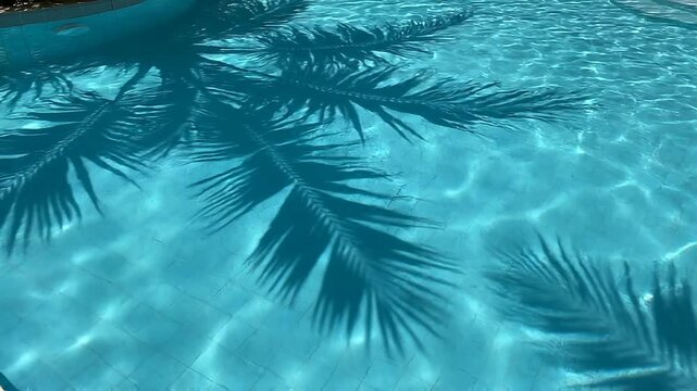Tropical Palm Shadows On Blue Water