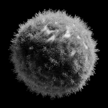 Monochrome Fluffy Fungal Spore Or Abstract Cosmic Sphere