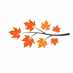 Obraz premium Autumn Maple Leaves on a Branch