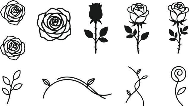 Elegant rose flower vector silhouette icon set with blooming blossoms stems buds and decorative garden vines