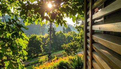 Fototapeta premium Sunlit Green Garden Landscape Viewed Through Tree Leaves Beside Wooden Wall