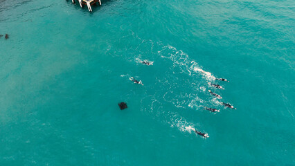 Naklejka premium Aerial View of Swimmers Training in Ocean