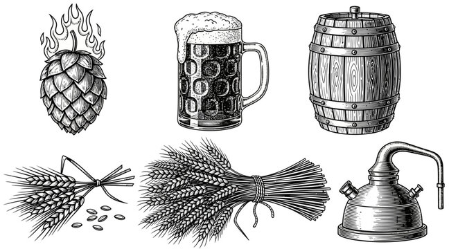 Beer brewing ingredients and equipment, craft beer concept, vintage illustrations