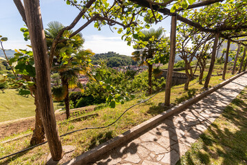 Fototapeta premium Panorama delle verdi vallate slovene viste dall'alto del monastero di Kostanjevica in primavera 
