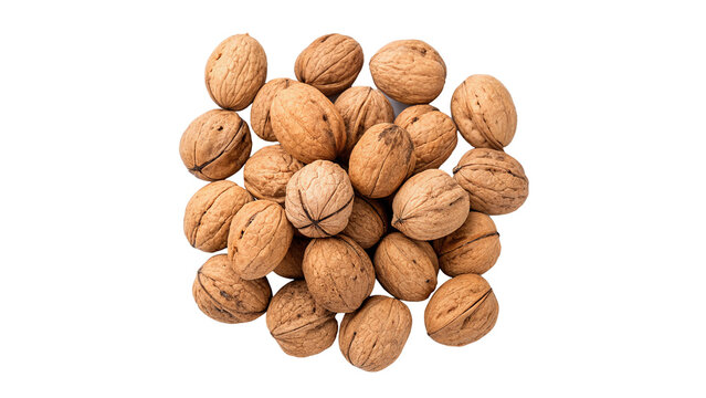 Small pile group of whole organic brown hazelnuts or filbert nuts in shells for healthy snacks on transparent background