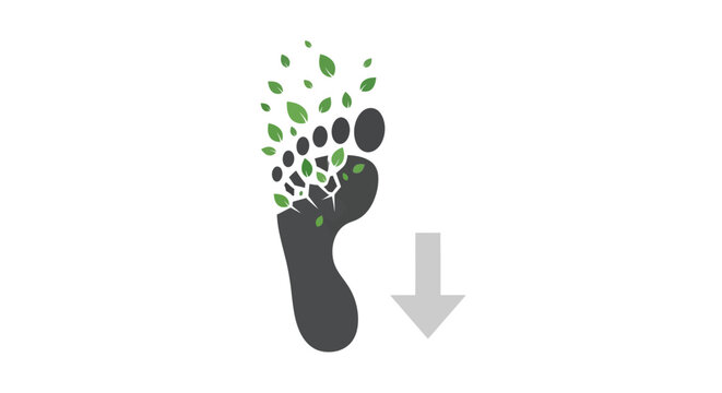 Footprint with leaves growing out.