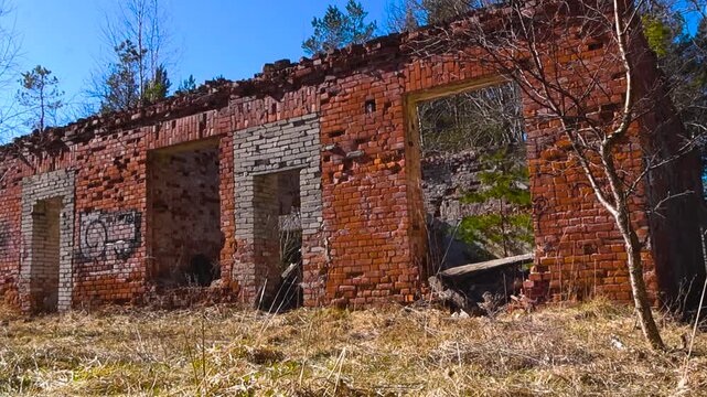 Ruined red brick building with empty window openings standing in a sunny pine forest, showcasing a desolate and apocalyptic post war atmosphere with crumbling walls and debris