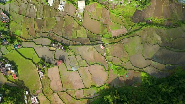 Aerial spin-rise reveals Hapao Rice Terraces and winding Hapao River from above, showing patchwork paddies, scattered village houses and lush forest in Ifugao, Philippines