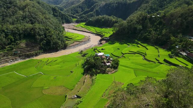Aerial parallax above Ducligan rice terraces reveals traditional Ifugao granaries with pyramidal rooftops surrounded by vivid green paddy fields and winding river in Banaue Philippines