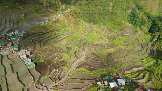 Top-down orbital reveals the spectacular geometric amphitheater pattern of Batad rice terraces with village settlements along the rim in Ifugao, Philippines