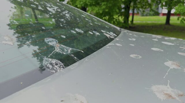 Glass splattered with bird droppings. Bird droppings and streaks impair car visibility significantly