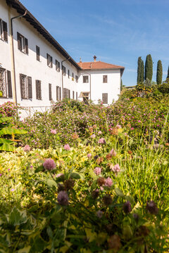Il giardino fiorito presso il monastero sloveno di Kostanjevica o Castagnevizza in primavera 