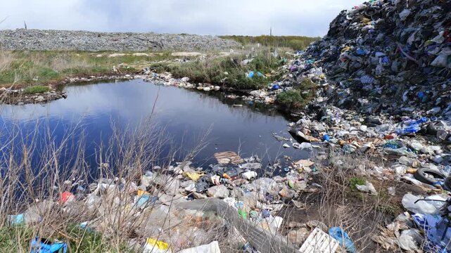 A large amount of household waste and plastic bags sits at a dump site. Water collects in the area surrounded by trash and debris