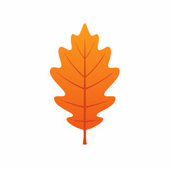 Fototapeta premium Orange Oak Leaf Illustration