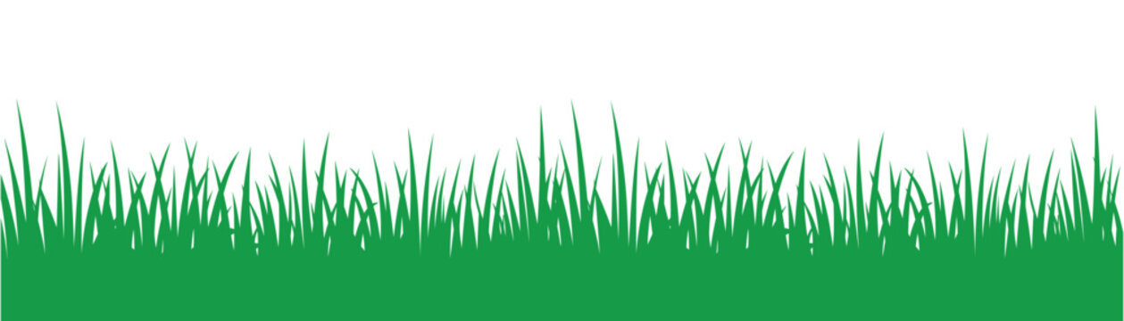Green grass border silhouette with organic fresh lawn blades for spring summer garden, nature field landscape, and backdrop vector set