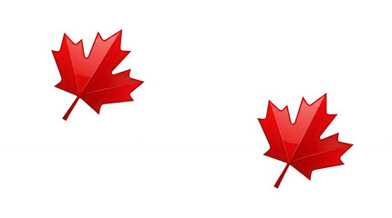 Obraz premium Red maple leaf isolated on white background minimalist design