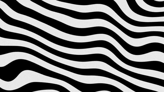 Abstract wavy stripe animation background with flowing curved line pattern. Seamless optical motion texture, modern dynamic wave loop backdrop