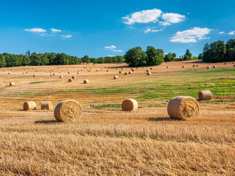 bales of hay