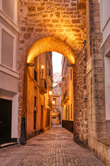 Charming narrow alley in Cadiz, Andalusia at Twilight © romanslavik.com