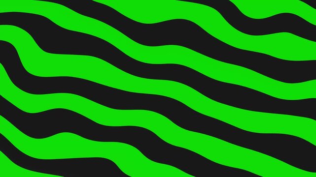 Abstract wavy stripe animation background with flowing curved line pattern. Seamless optical motion texture, modern dynamic wave loop backdrop