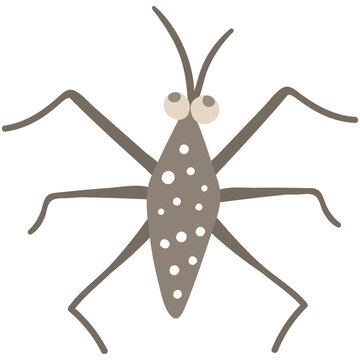 Cute cartoon water strider insect with long legs